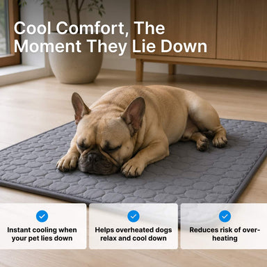 ThermaCool™ Pet Cooling Mat
